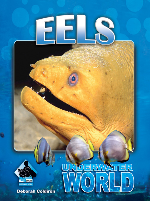 Title details for Eels by Deborah Coldiron - Available